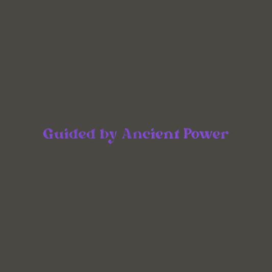 Guided by Ancient Power - Embroidered Sweatshirt
