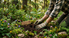 Earth Day Rituals: Crystal Practices to Honor the Earth and Yourself