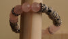 Dalmatian Jasper & Rose Quartz Bracelet