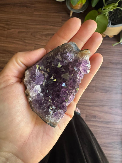 Amethyst Geode Cluster: Echo Size