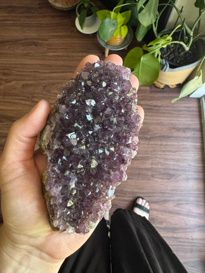Amethyst Geode Cluster: Radiance Size