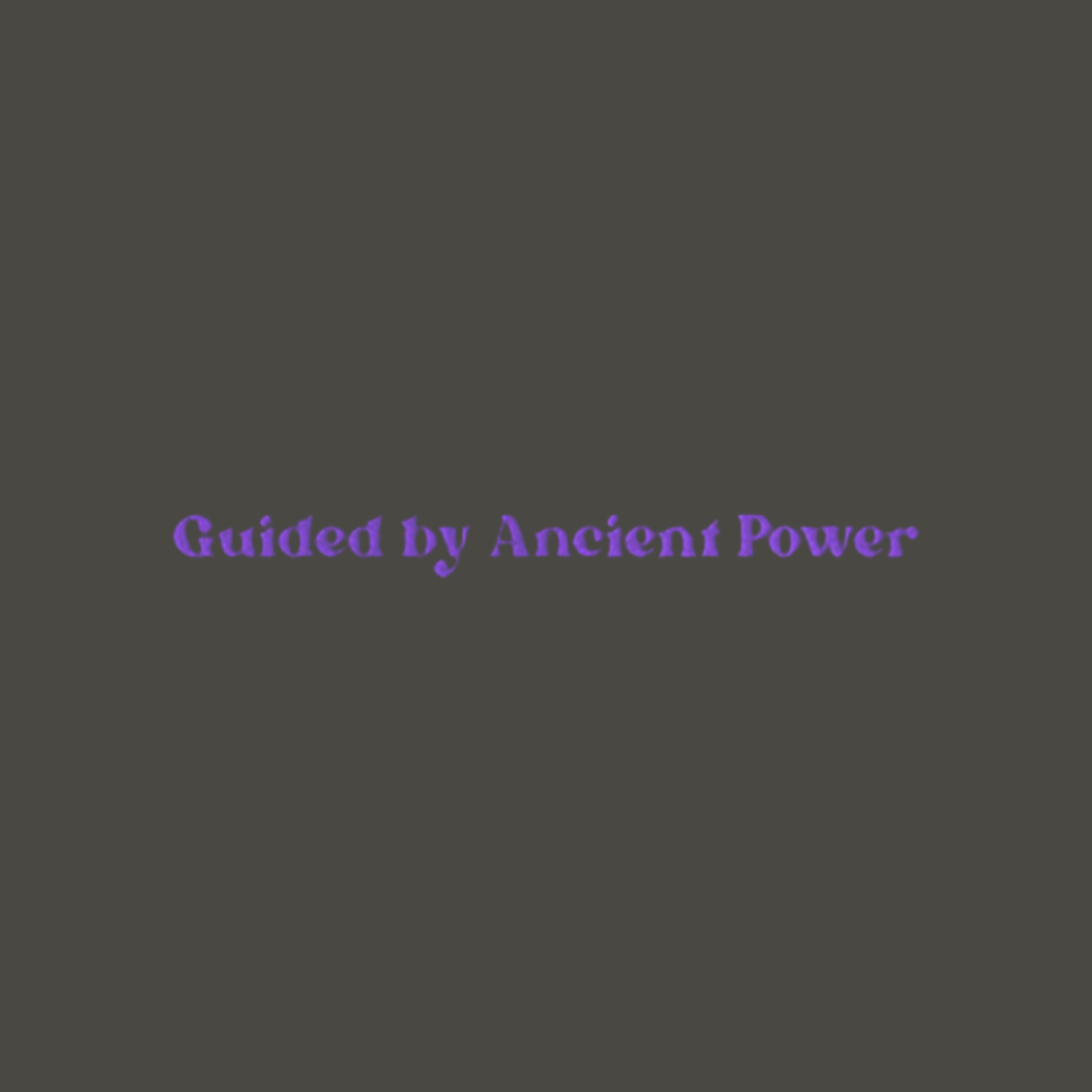Guided by Ancient Power - Embroidered Sweatshirt