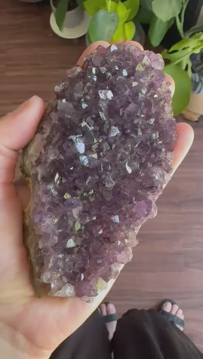 Amethyst Geode Cluster: Radiance Size