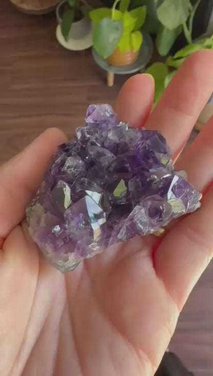 Amethyst Geode Cluster: Whisper Size