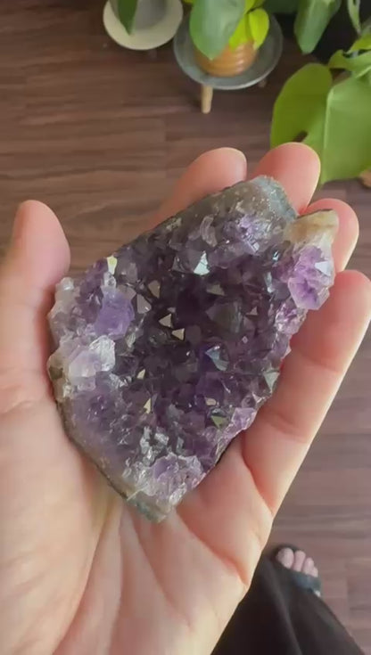 Amethyst Geode Cluster: Echo Size